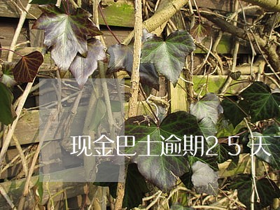 现金巴士逾期25天了