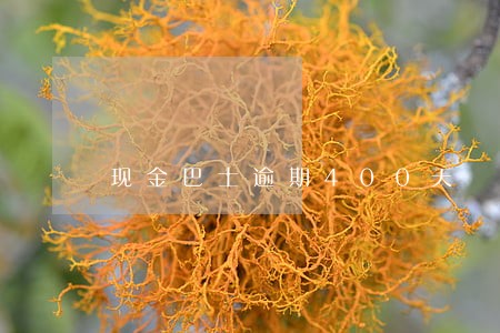 现金巴士逾期400天