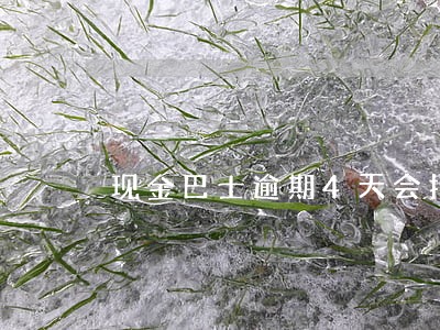 现金巴士逾期4天会打电话吗 现金巴士逾期4天会打电话吗