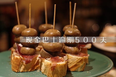 现金巴士逾期500天 现金巴士逾期500天