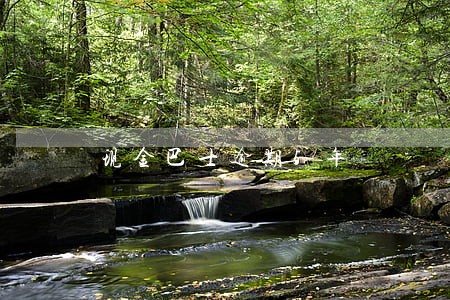 现金巴士逾期5年 现金巴士逾期5年