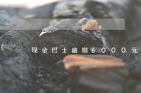 现金巴士逾期6000元 现金巴士逾期6000元