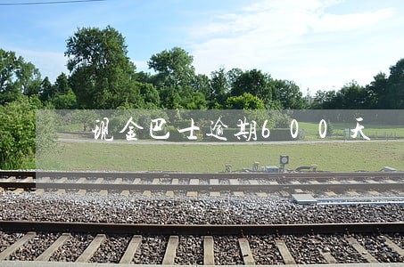 现金巴士逾期600天 现金巴士逾期600天