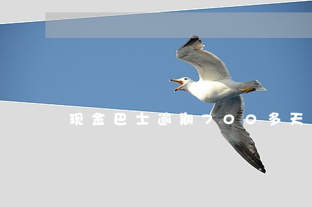 现金巴士逾期700多天 现金巴士逾期700多天