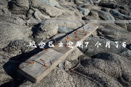 现金巴士逾期7个月了6 现金巴士逾期7个月了6