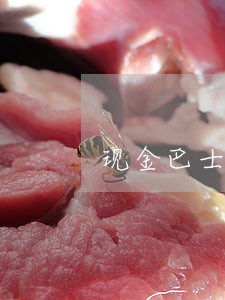 现金巴士逾期800多天了 现金巴士逾期800多天了