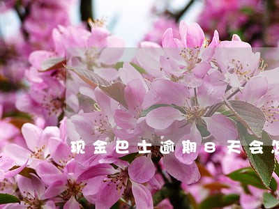 现金巴士逾期8天会怎么样 现金巴士逾期8天会怎么样