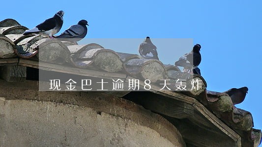 现金巴士逾期8天轰炸 现金巴士逾期8天轰炸