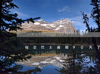 现金巴士逾期90天了 现金巴士逾期90天了