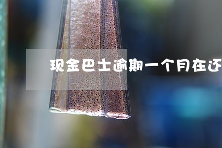 现金巴士逾期一个月在还要紧吗