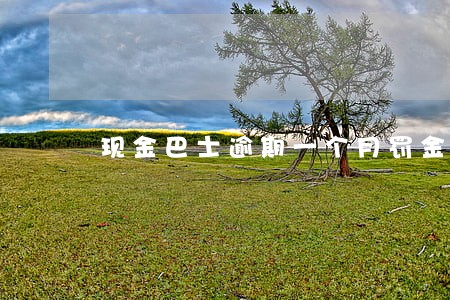 现金巴士逾期一个月罚金 现金巴士逾期一个月罚金