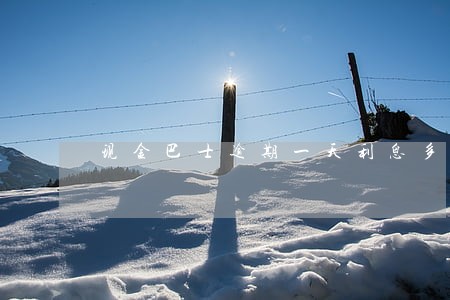 现金巴士逾期一天利息多少 现金巴士逾期一天利息多少