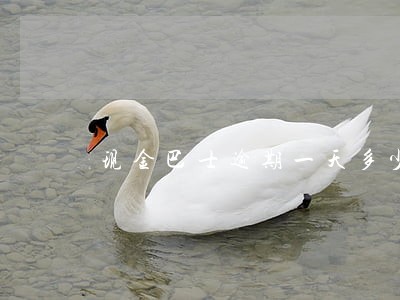 现金巴士逾期一天多少 现金巴士逾期一天多少