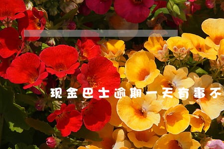 现金巴士逾期一天有事不 现金巴士逾期一天有事不