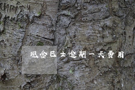 现金巴士逾期一天费用 现金巴士逾期一天费用