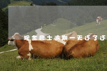 现金巴士逾期一天还了还能借吗 现金巴士逾期一天还了还能借吗