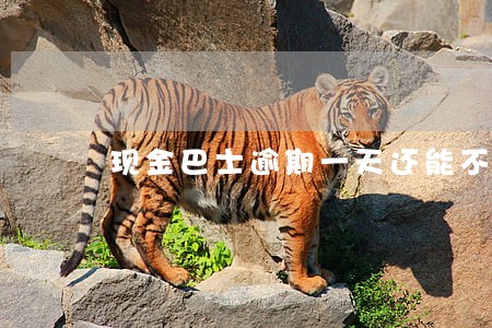 现金巴士逾期一天还能不能再借 现金巴士逾期一天还能不能再借