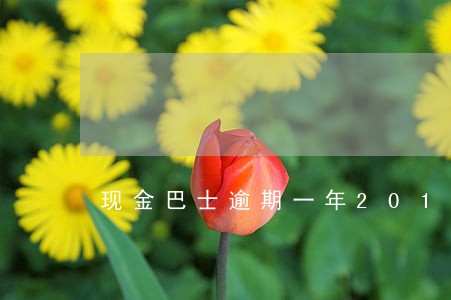 现金巴士逾期一年2018 现金巴士逾期一年2018