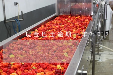 现金巴士逾期一年2020 现金巴士逾期一年2020