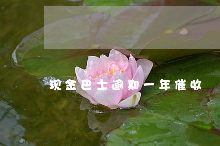 现金巴士逾期一年催收 现金巴士逾期一年催收