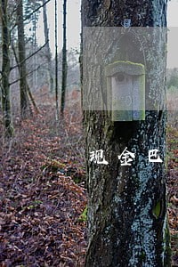 现金巴士逾期一年又开始催收 现金巴士逾期一年又开始催收