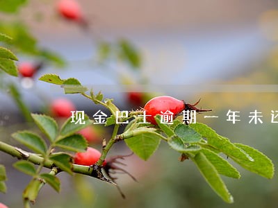现金巴士逾期一年未还款 现金巴士逾期一年未还款