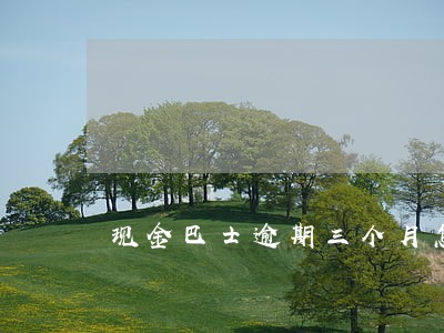 现金巴士逾期三个月怎么办 现金巴士逾期三个月怎么办