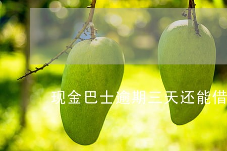 现金巴士逾期三天还能借么 现金巴士逾期三天还能借么