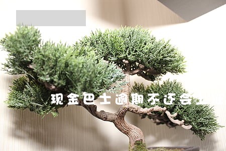 现金巴士逾期不还会上征信吗 现金巴士逾期不还会上征信吗