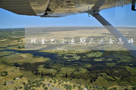 现金巴士逾期不还会怎样 现金巴士逾期不还会怎样
