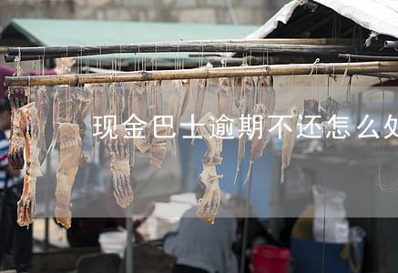 现金巴士逾期不还怎么处理 现金巴士逾期不还怎么处理