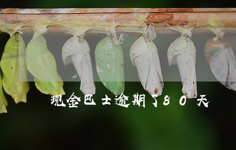 现金巴士逾期了80天