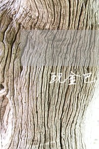 现金巴士逾期了怎么处理 现金巴士逾期了怎么处理