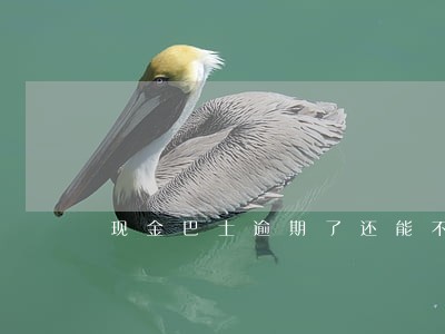 现金巴士逾期了还能不能借款