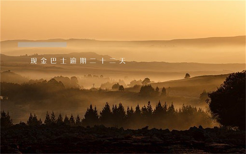 现金巴士逾期二十二天 现金巴士逾期二十二天