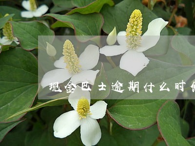 现金巴士逾期什么时候扣款