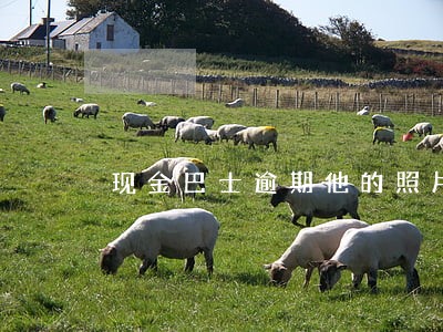 现金巴士逾期他的照片