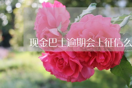 现金巴士逾期会上征信么 现金巴士逾期会上征信么