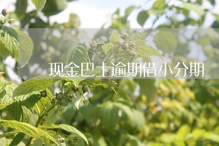 现金巴士逾期借小分期 现金巴士逾期借小分期