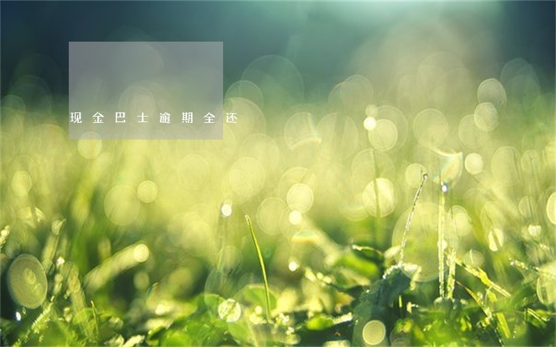 现金巴士逾期全还