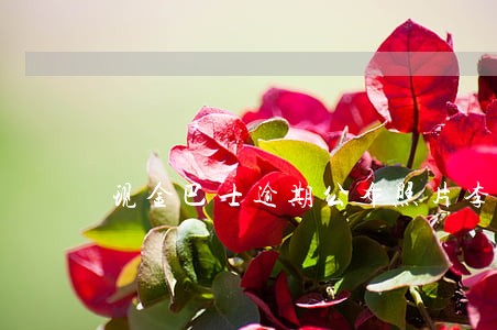 现金巴士逾期公布照片李瑞海 现金巴士逾期公布照片李瑞海
