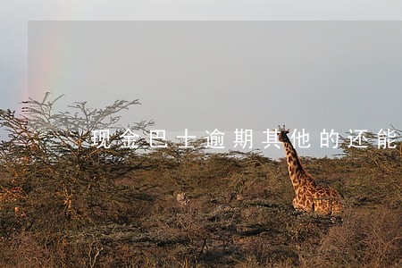 现金巴士逾期其他的还能贷吗 现金巴士逾期其他的还能贷吗