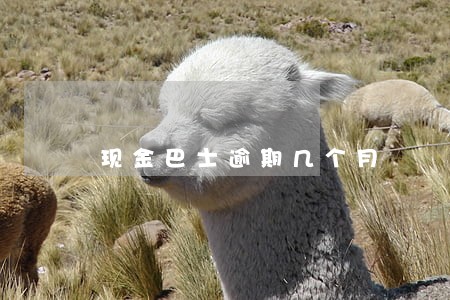 现金巴士逾期几个月 现金巴士逾期几个月