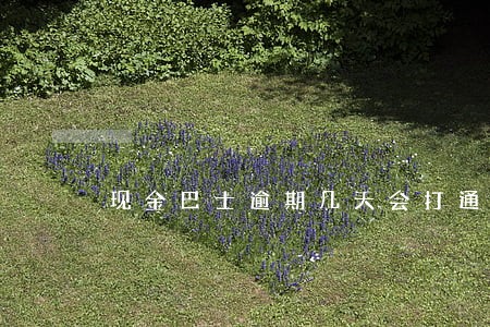 现金巴士逾期几天会打通讯录 现金巴士逾期几天会打通讯录