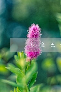 现金巴士逾期几天催收 现金巴士逾期几天催收