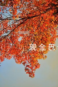 现金巴士逾期几天打联系人电话 现金巴士逾期几天打联系人电话