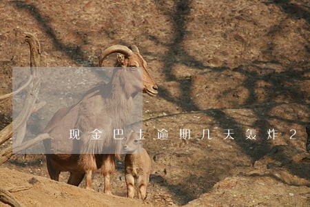 现金巴士逾期几天轰炸2019 现金巴士逾期几天轰炸2019