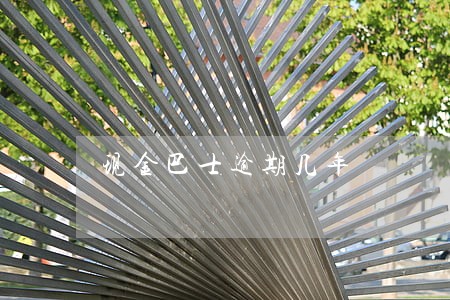 现金巴士逾期几年 现金巴士逾期几年