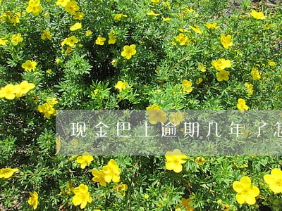 现金巴士逾期几年了怎么还款 现金巴士逾期几年了怎么还款