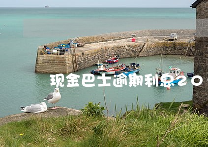 现金巴士逾期利息20一天 现金巴士逾期利息20一天